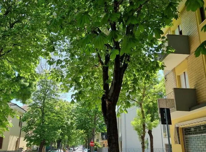 Apartamento Family *